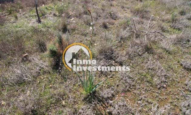 Reventa - Chalet independiente - Campoamor - Lomas de Don Juan