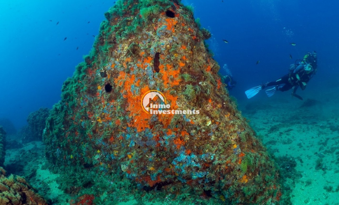 Obra nueva - Ático - Aguilas - Isla Del Fraile