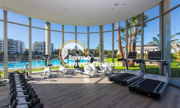 New build - Bungalow - Orihuela Costa - Villamartin