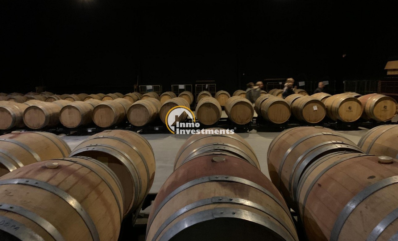 Reventa - Cellar - Pinoso - Centro