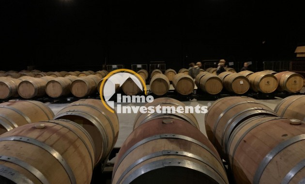 Reventa - Cellar - Pinoso - Centro