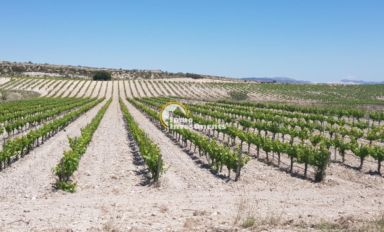 Reventa - Cellar - Pinoso - Centro