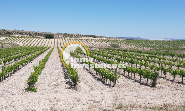 Reventa - Cellar - Pinoso - Centro