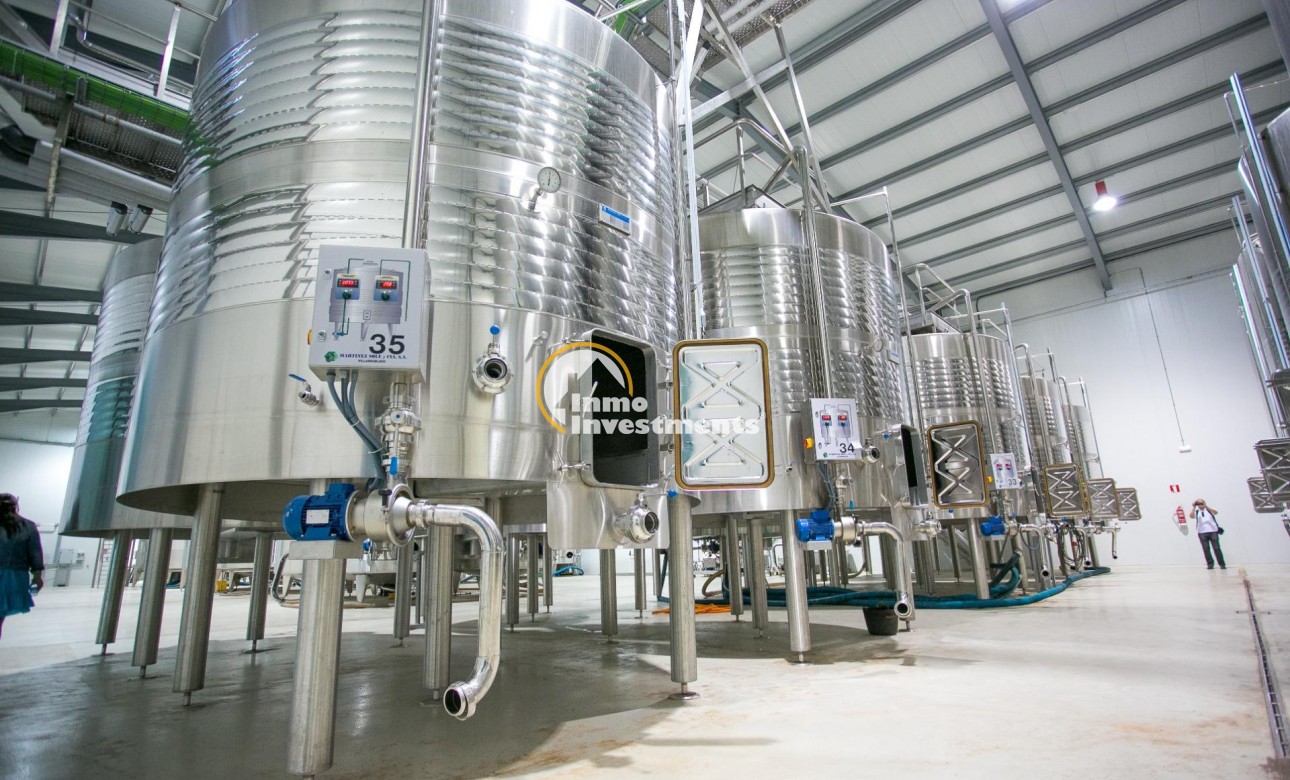 Reventa - Cellar - Pinoso - Centro