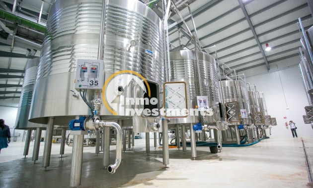 Reventa - Cellar - Pinoso - Centro