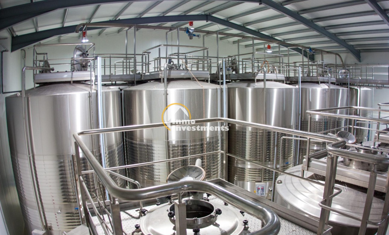 Reventa - Cellar - Pinoso - Centro