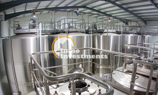 Reventa - Cellar - Pinoso - Centro