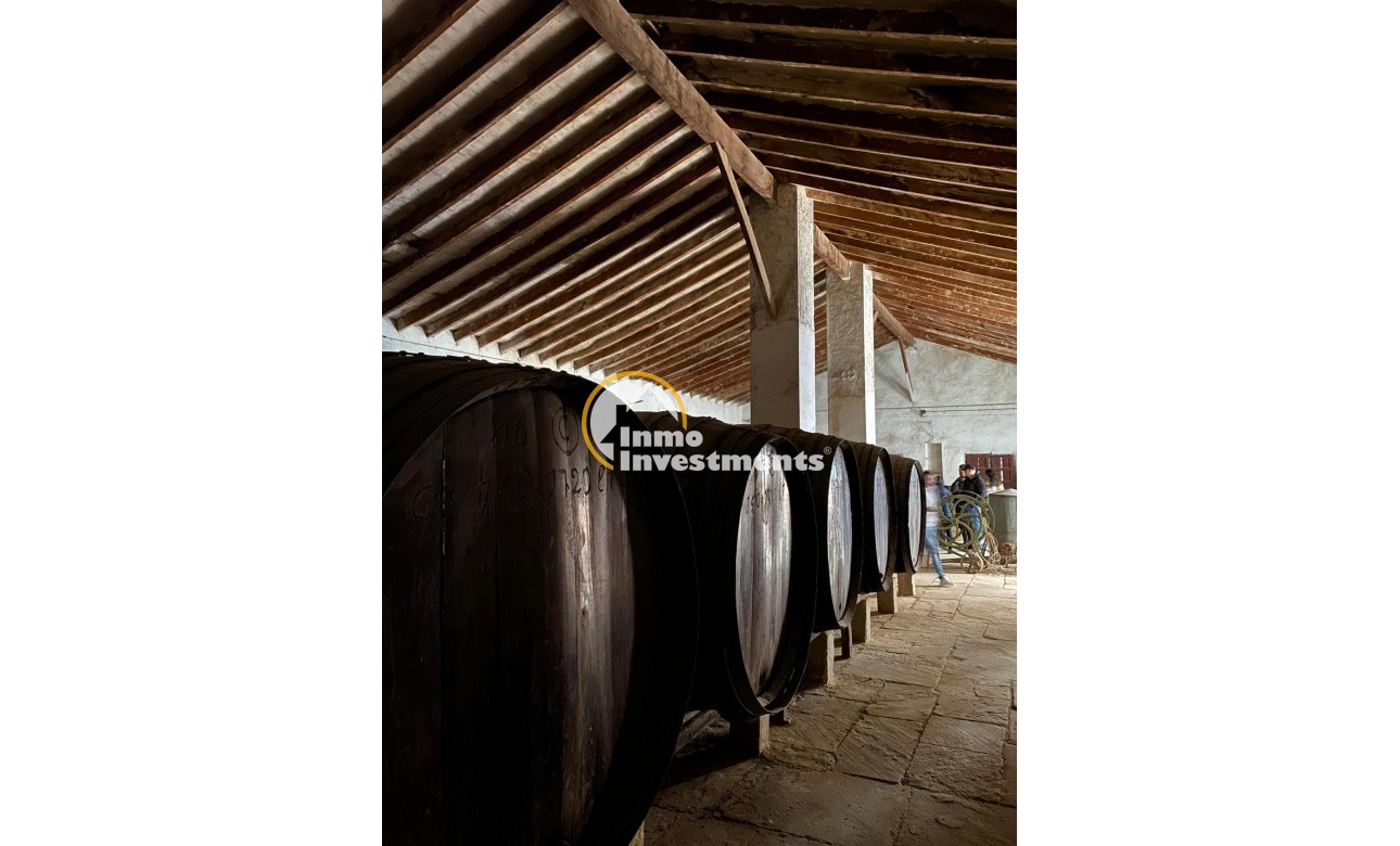 Reventa - Cellar - Pinoso - Centro