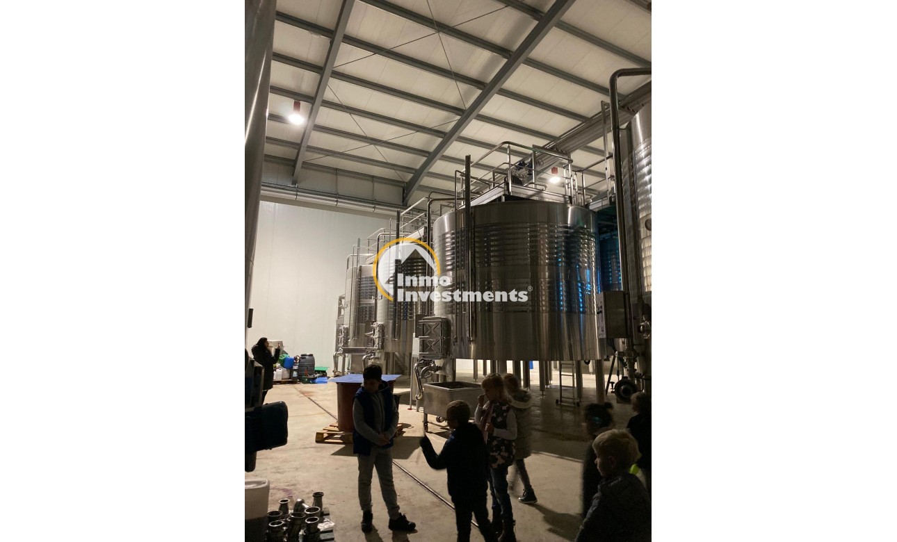 Reventa - Cellar - Pinoso - Centro