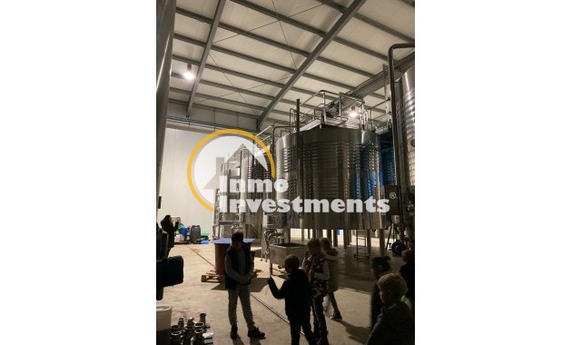 Reventa - Cellar - Pinoso - Centro