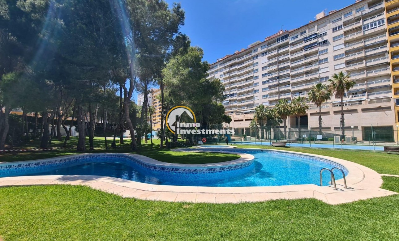 Reventa - Apartamento - Orihuela Costa - Campoamor
