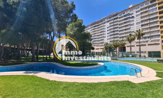 Reventa - Apartamento - Orihuela Costa - Campoamor
