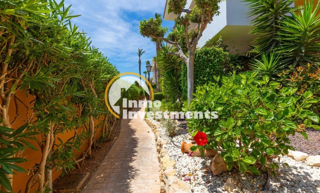 Reventa - Ático - Torrevieja - Punta Prima