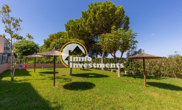 Reventa - Apartamento - La Mata - Torre la Mata