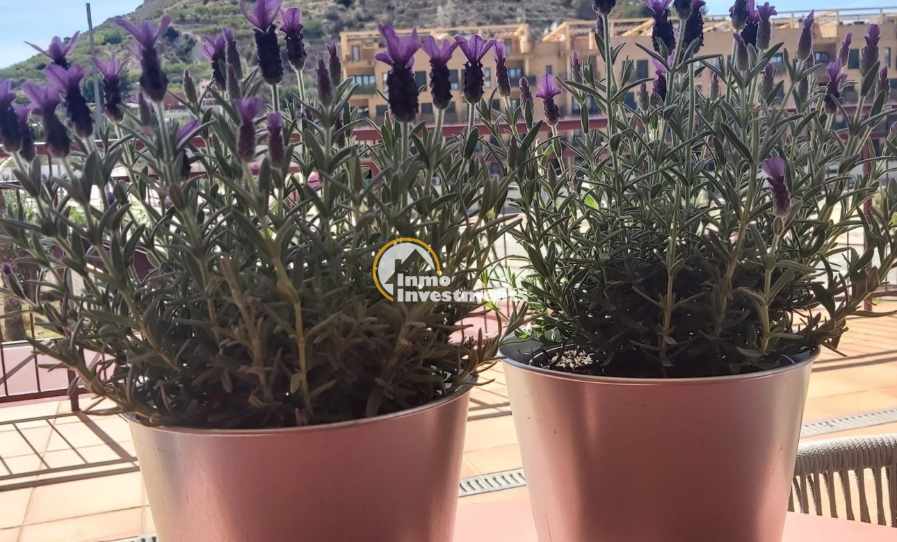 Reventa - Apartamento - Villanueva del Rio Segura - Urbanización plan parcial la morra