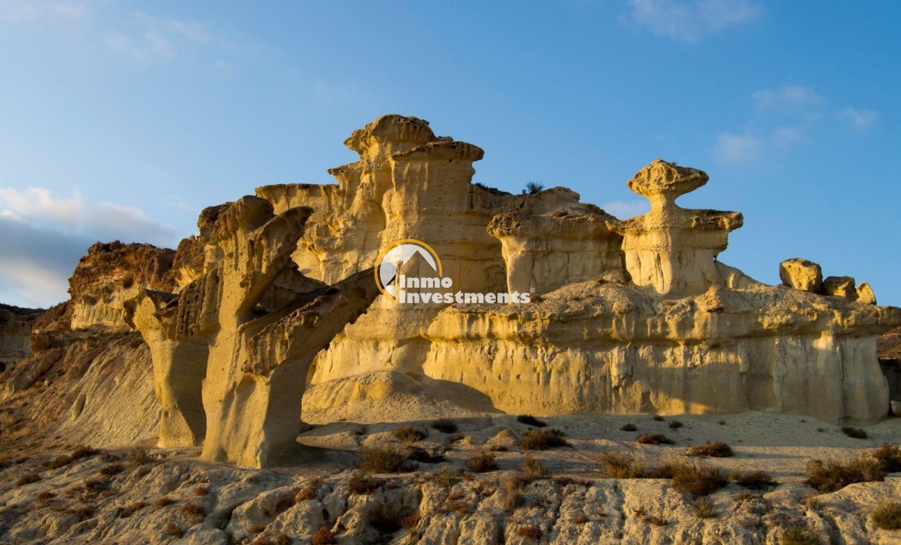 Obra nueva - Chalet independiente - Fuente alamo de Murcia - La Pinilla - Las Palas