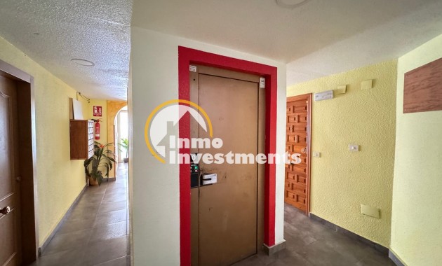 Reventa - Apartamento - Torrevieja - Centro