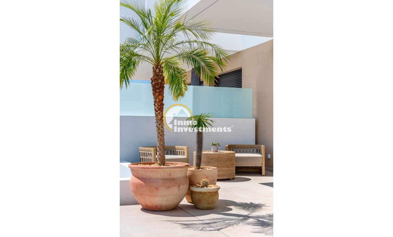 Obra nueva - Chalet independiente - Dolores - CENTRO