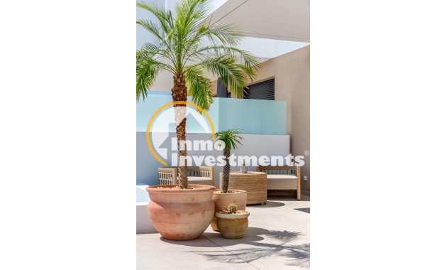 Obra nueva - Chalet independiente - Dolores - CENTRO