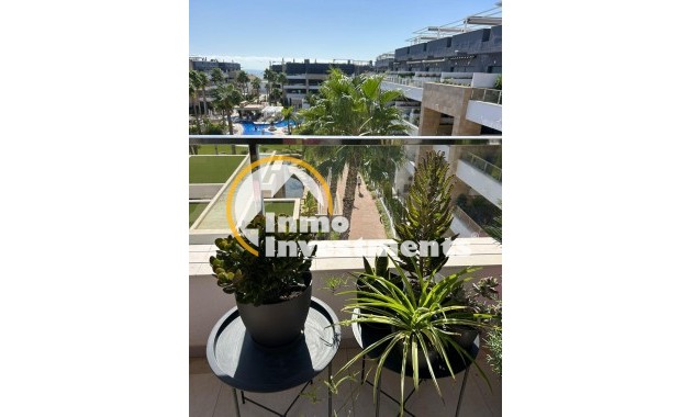 Reventa - Ático - Orihuela Costa - La Zenia