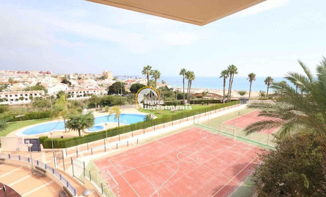 Bestaande bouw - Penthouse - Pilar de la Horadada - PUEBLO LATINO