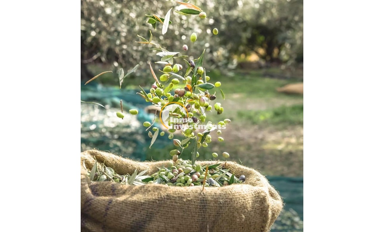 Reventa - Finca - Murcia - Rincón de Seca