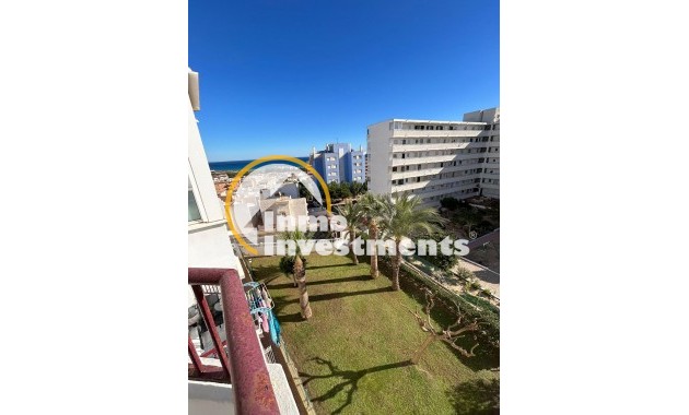 Reventa - Estudio - Torrevieja - Torreblanca