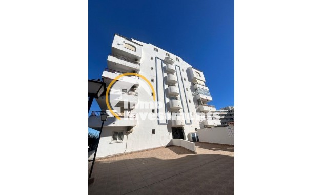 Reventa - Estudio - Torrevieja - Torreblanca