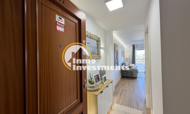 Reventa - Apartamento - Torrevieja - Punta Prima