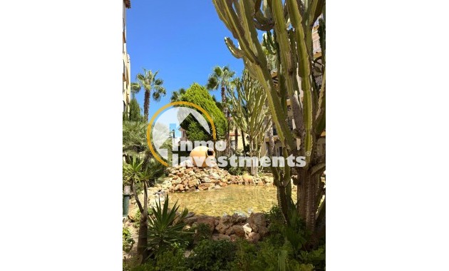 Reventa - Apartamento - Torrevieja - Los Frutales