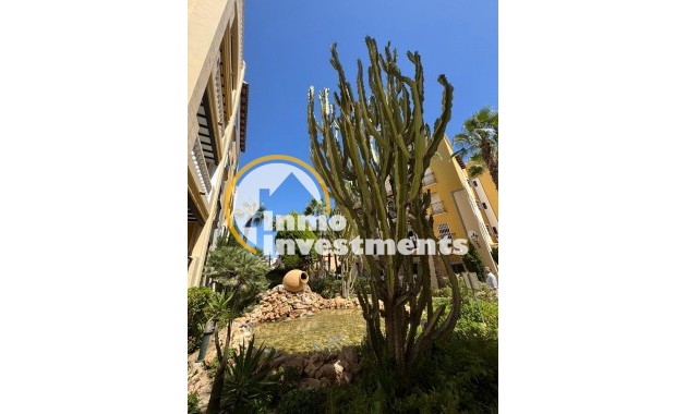 Reventa - Apartamento - Torrevieja - Los Frutales