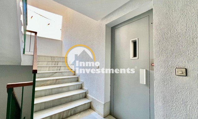 Bestaande bouw - Studio  - Torrevieja - Habaneras