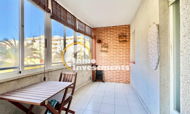 Bestaande bouw - Studio  - Torrevieja - Habaneras