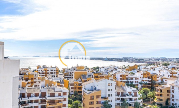 Reventa - Ático - Torrevieja - Punta Prima