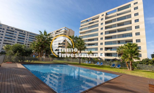 Reventa - Ático - Torrevieja - Punta Prima