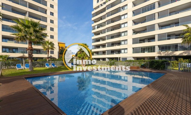 Reventa - Ático - Torrevieja - Punta Prima