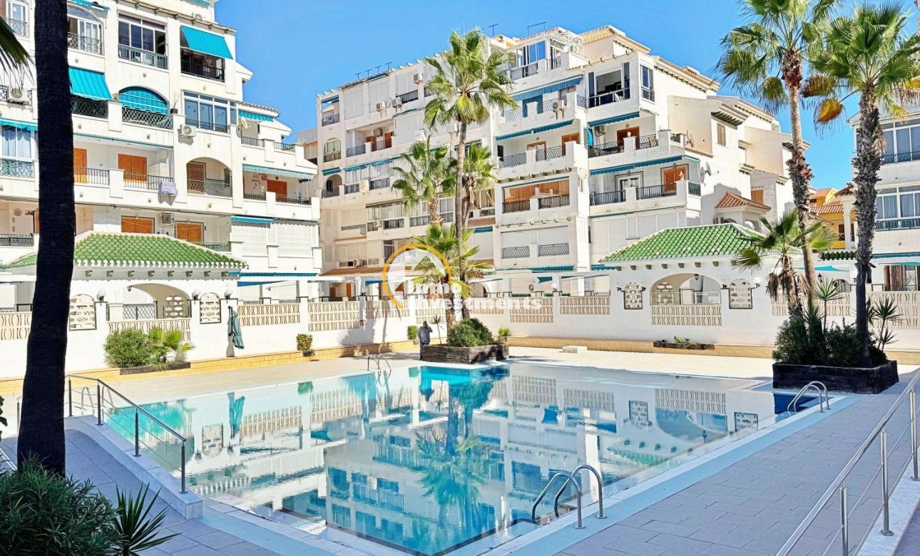 Revente privée - Appartement - Torrevieja - Los Europeos