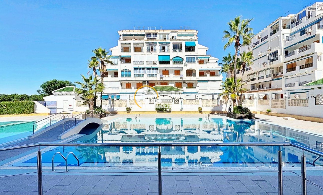 Revente privée - Appartement - Torrevieja - Los Europeos