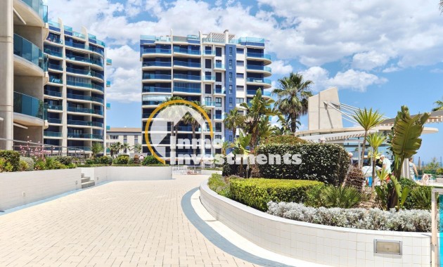 Reventa - Apartamento - Torrevieja - Punta Prima