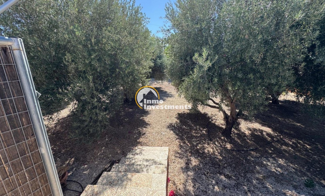 Resale - Finca - Albatera - BARRANCO SAN CAYETANO