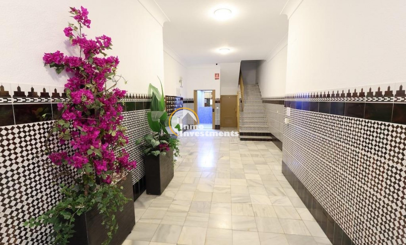 Reventa - Apartamento - Torrevieja - Centro