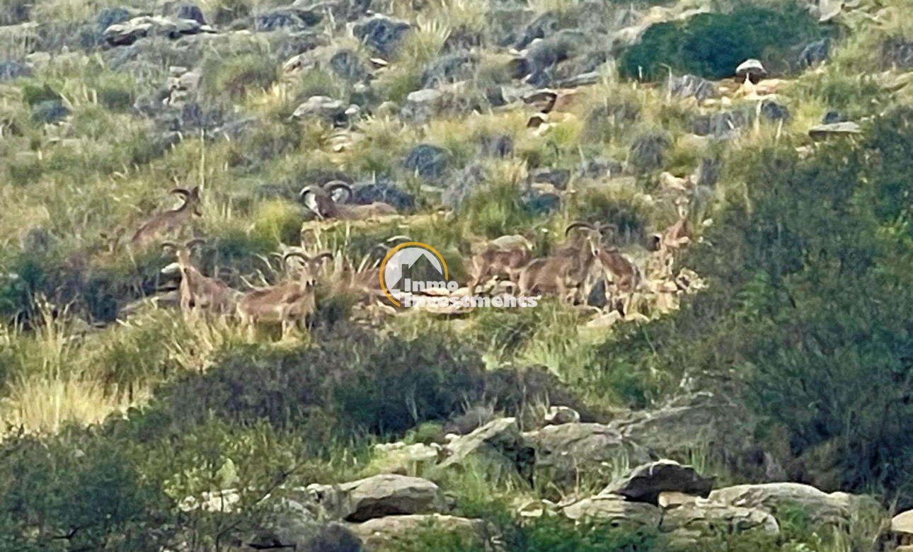 Bestaande bouw - Penthouse - Finestrat - Sierra Cortina