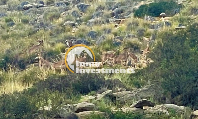 Bestaande bouw - Penthouse - Finestrat - Sierra Cortina