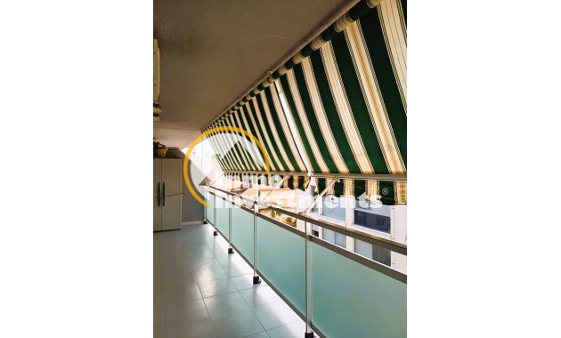 Reventa - Ático - Orihuela Costa - Cabo Roig