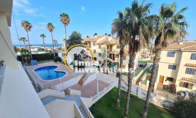 Alquiler larga temporada - Apartamento - Torrevieja - Sector 25