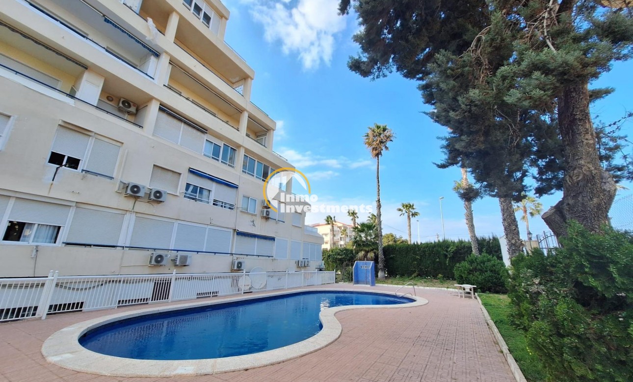 Alquiler larga temporada - Apartamento - Torrevieja - Sector 25