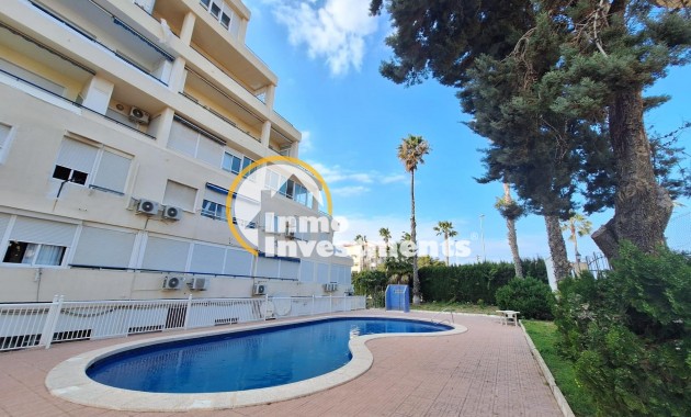 Alquiler larga temporada - Apartamento - Torrevieja - Sector 25