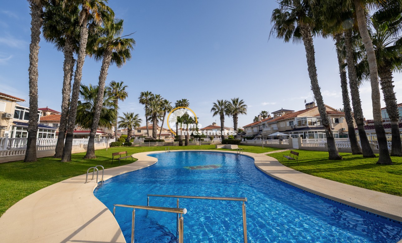 Curved outdoor pool with steps, sun loungers and palm trees at Playa Flamenca apartments, Spain