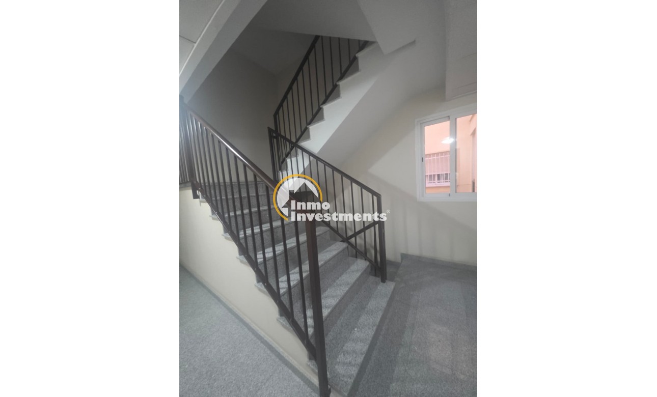Gebrauchtimmobilien - Apartment - Fortuna