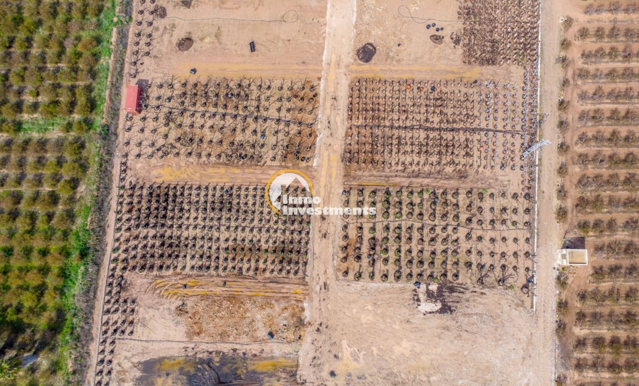 Bestaande bouw - Finca - Crevillente